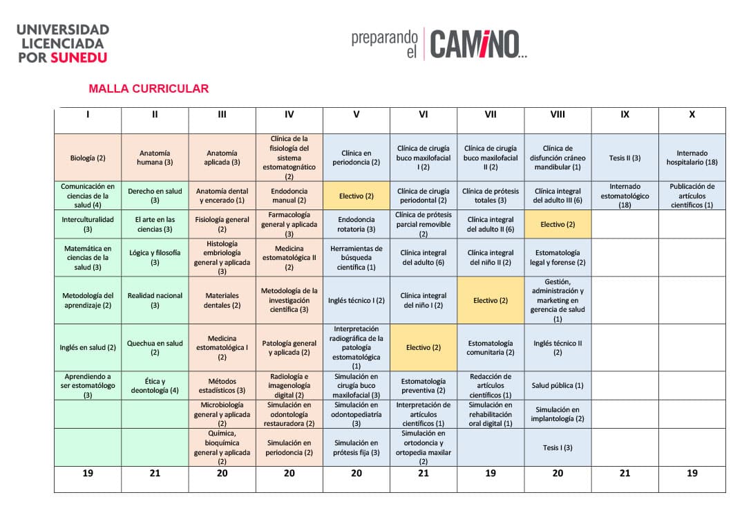 malla curricular estomatologia