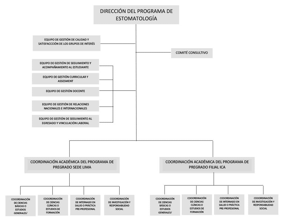 organigrama estomatologia