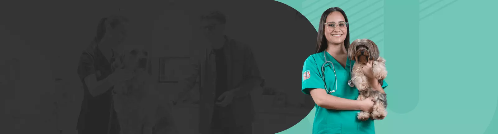 Medicina veterinaria y zootecnia Universidad Privada San Juan Bautista