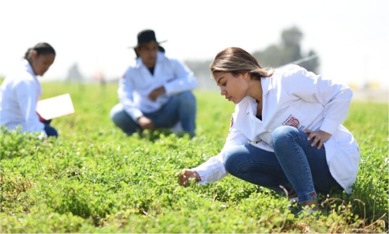 AGROINDUSTRIAL_LABORATORIOS - 3