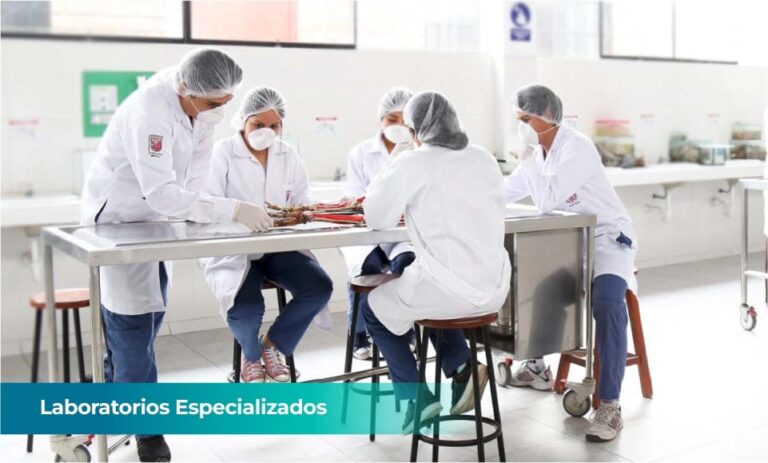 LABORATORIOS - LABORATORIOS ESPECIALIZADOS