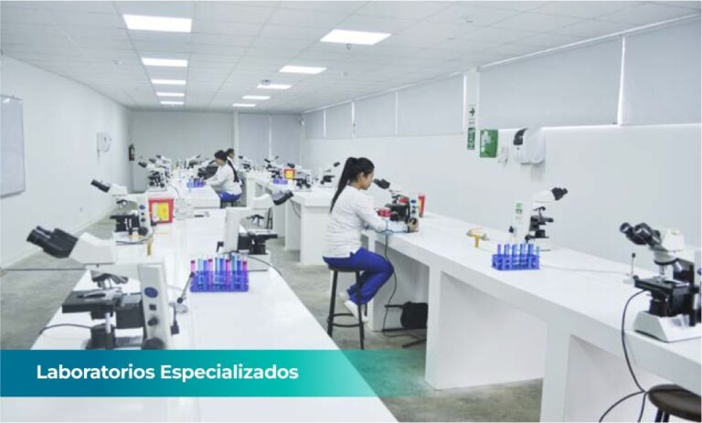 LABORATORIOS - LABORATORIOS ESPECIALIZADOS_6