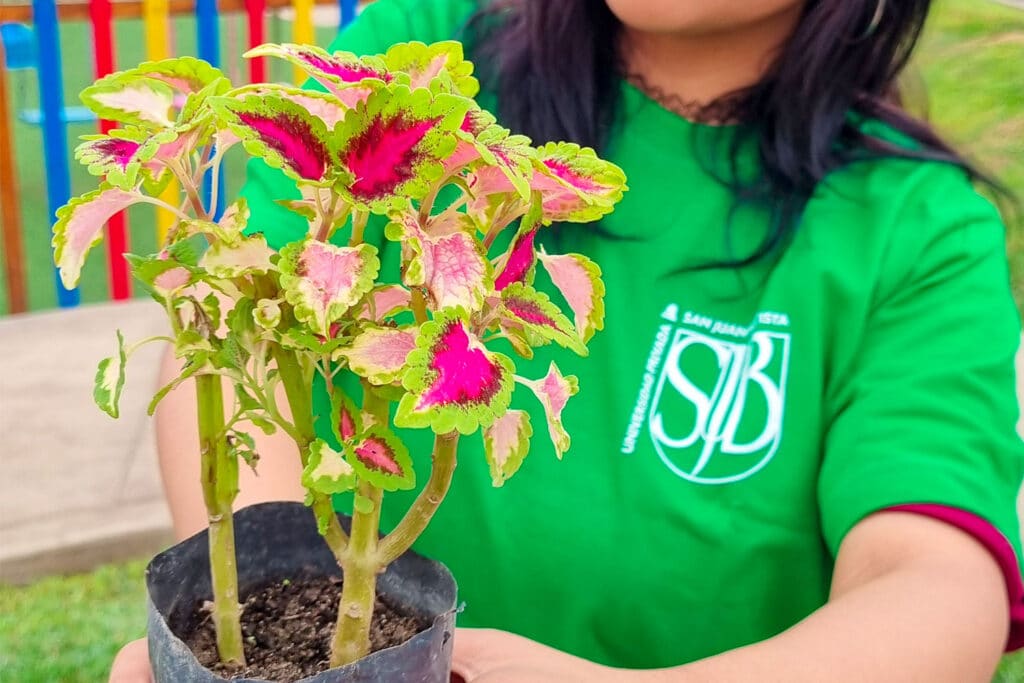 Proyecto “Un Mundo Más Verde con la San Juan”
