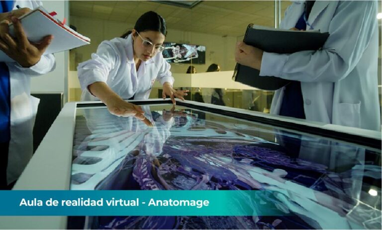 Imagen de WhatsApp 2025-12-01 a las 13.00.17_3bf48bea