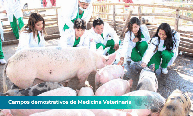 nuevasLABORATORIOS - CENTROS DE PRODUCCIÓN_1 (1)