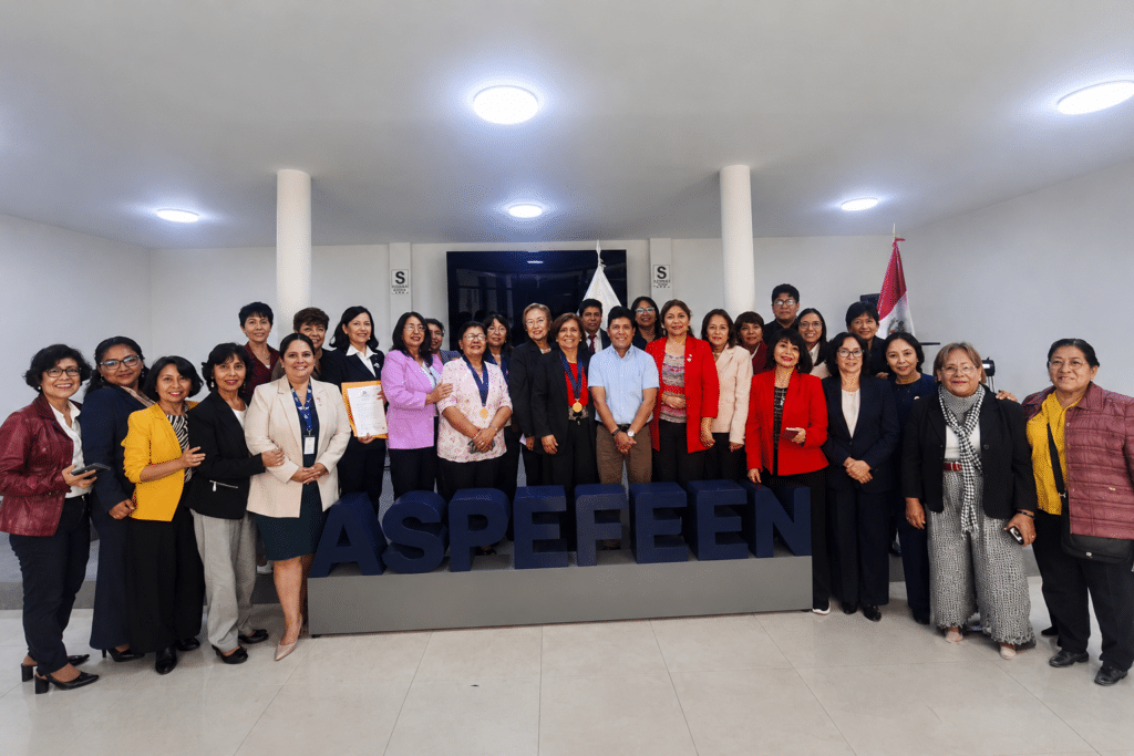 Directores y representantes de las Facultades y Escuelas de Enfermería del país reunidos durante la sesión de trabajo de afiliación ASPEFEEN, realizada en Lima.