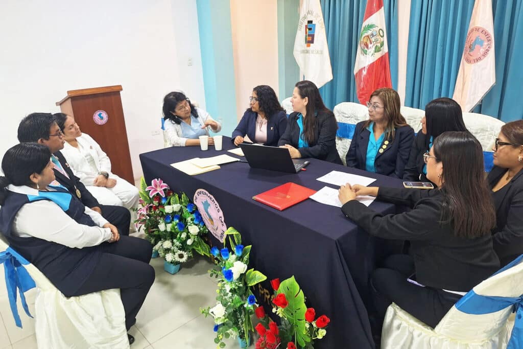 Directora de Enfermería UPSJB representará a ASPEFEEN en el COREREN Lima 4 Integrantes del Comité Regional de Residentado en Enfermería (COREREN) Lima sostienen una reunión de trabajo durante la ceremonia de instalación, con participación de representantes de instituciones académicas y del sector salud.