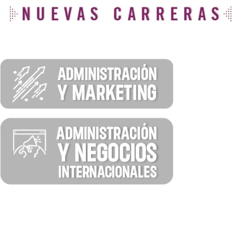 Nuevas carreras morado