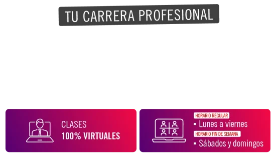 TEXTO TITULO