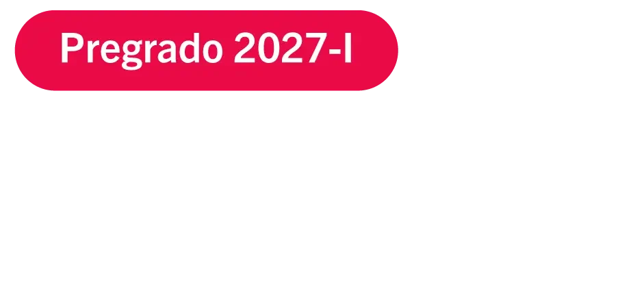 compressed_texto