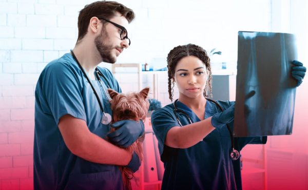 ¿Por-qué-estudiar-Veterinaria-Te-damos-4-motivos